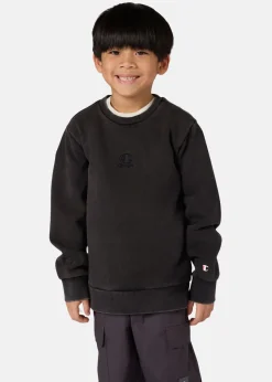 Best Champion Crewneck Sweatshirt NBK