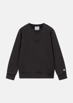 Best Champion Crewneck Sweatshirt NBK