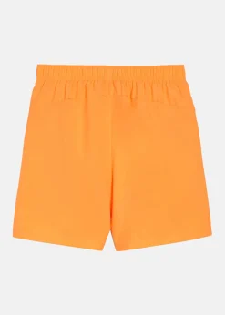 Hot Puma ESS+ LOGO LAB Woven Shorts 5 Clementine