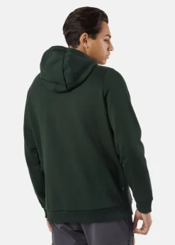 Hot Swedemount Forest Hood Green Bear