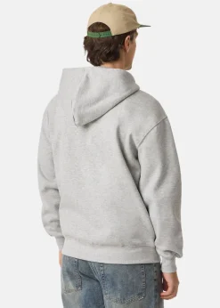 New Gizmo Zip Hoodie Grey Mel
