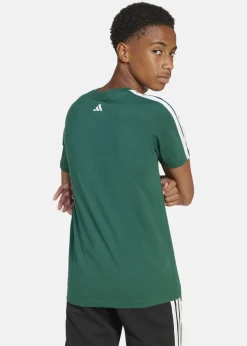 Adidas J C COLLEG TEE CGREEN