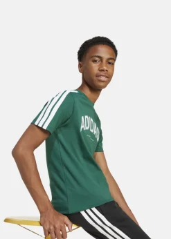 Adidas J C COLLEG TEE CGREEN