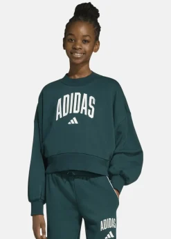 Discount Adidas JG CLGT FT SWT AURIVY/WHITE