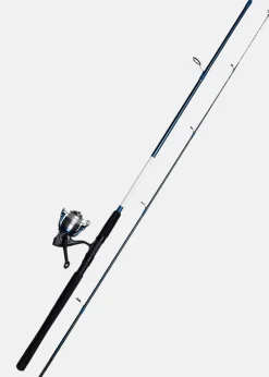 Kinetic FANTASTICA CC MH 12-40G