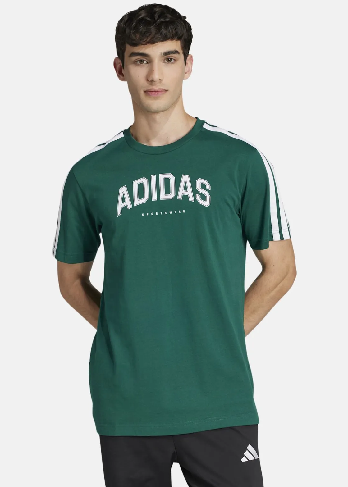 Hot Adidas M C COLLEG TEE CGREEN