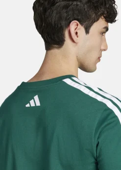 Hot Adidas M C COLLEG TEE CGREEN
