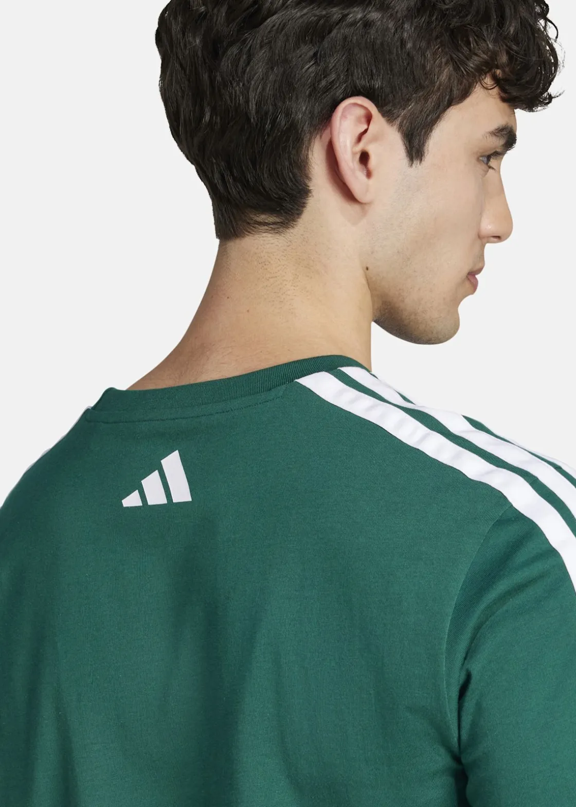 Hot Adidas M C COLLEG TEE CGREEN