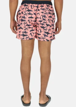 Online Seaside Pacific Beachshorts Coral Shark