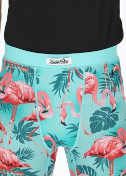 Best Blount & Pool Pants Baselayer Flamingo AoP