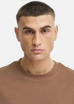 Clearance Solid SDDANTON SS Acorn