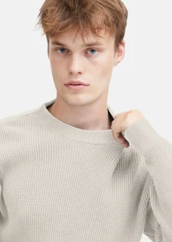 Sale Solid SDHami Oatmeal