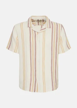 Hot Solid SDISAI Acorn