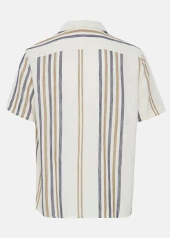 Online Solid SDISAI Oatmeal