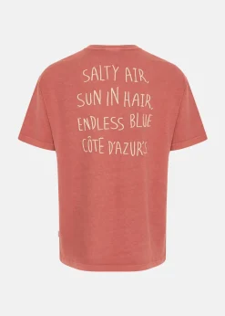 Solid SDPAVLO Arabian Spice