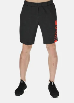 Clearance Puma Shorts 9" Dark Gray Heather