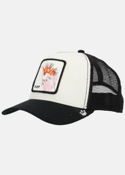 New Goorin Bros The Flirty Bird White