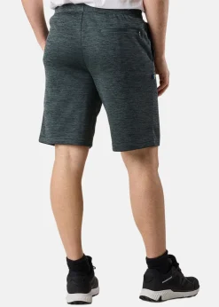 Discount Swedemount Training Logo Shorts II Dusty Green Melange/Charcoal Melange